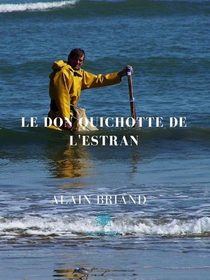 cover image of Le Don Quichotte de l'Estran